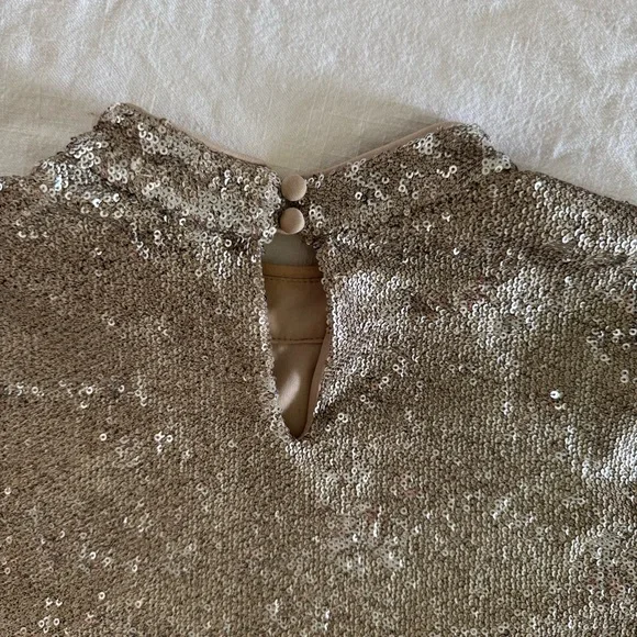 Forever 21 Exclusive Sequin Mini Dress – Silver & Champagne, Size Medium - Picture 7 of 11